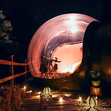 Maso La Marianna Bubble Glamping In Trentino Bed & Breakfast Sant'Orsola Ngoại thất bức ảnh