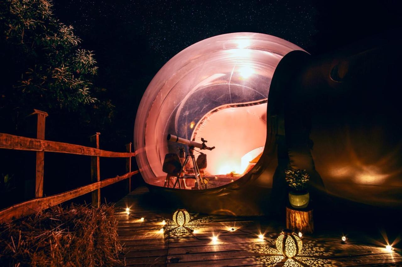 Maso La Marianna Bubble Glamping In Trentino Bed & Breakfast Sant'Orsola Ngoại thất bức ảnh